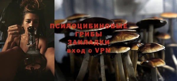 спиды Киреевск