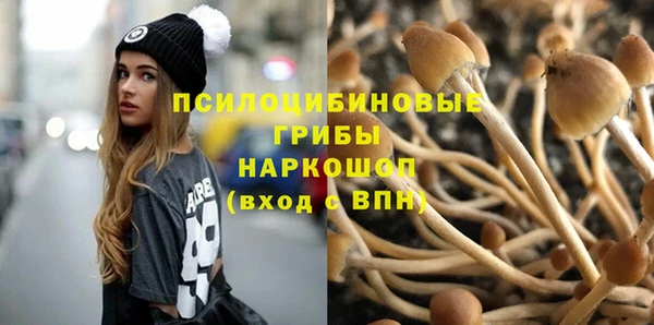 спиды Киреевск
