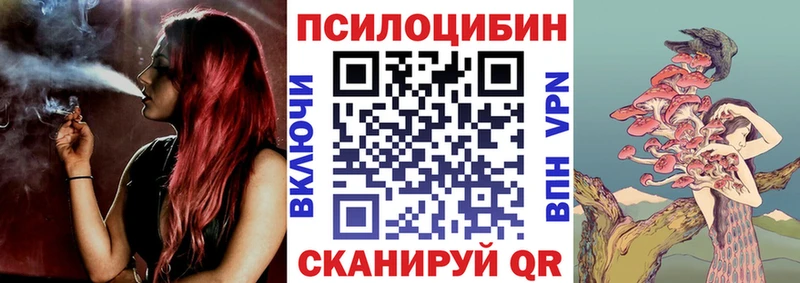 Галлюциногенные грибы Magic Shrooms что такое мега Кологрив